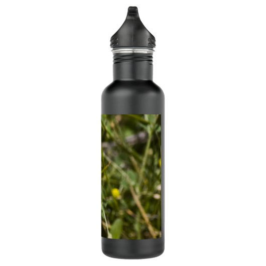 Schmetterling 1 trinkflasche (Rechts)