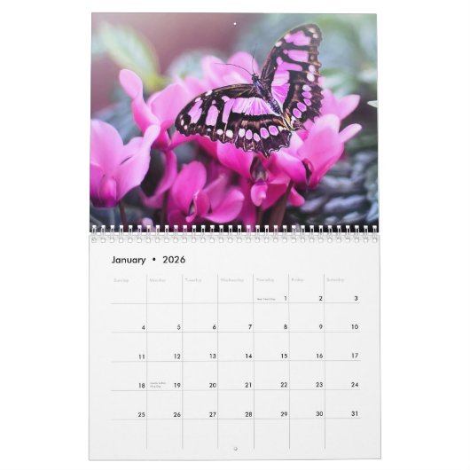 Schmetterling 2025 kalender (Jan 2026)
