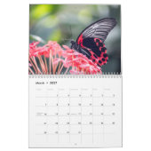 Schmetterling 2025 kalender (Mär 2027)