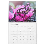Schmetterling 2025 kalender (Jan 2027)