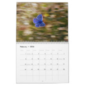 Schmetterling 2025 kalender (Feb 2026)