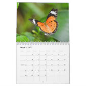 Schmetterling 2025 kalender (Mär 2027)