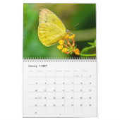 Schmetterling 2025 kalender (Jan 2027)