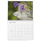Schmetterling 2026 kalender (Mär 2027)