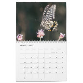 Schmetterling 2026 kalender (Jan 2027)