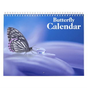 Schmetterling 2027 kalender