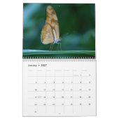 Schmetterling 2027 kalender (Jan 2027)