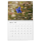 Schmetterling 2027 kalender (Feb 2027)