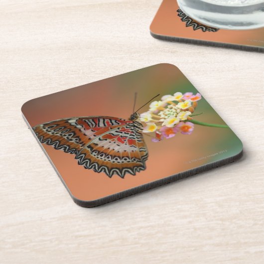 Schmetterling 2 getränkeuntersetzer (Linke Seite)