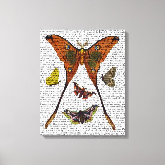 Schmetterling 2 leinwanddruck (Vorderseite)