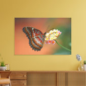 Schmetterling 2 leinwanddruck (Insitu (Wohnzimmer))