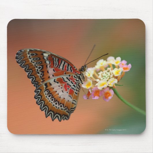 Schmetterling 2 mousepad (Vorne)