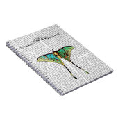 Schmetterling 2 notizblock (Rechte Seite)