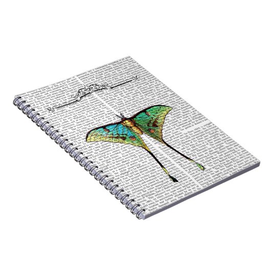 Schmetterling 2 notizblock (Rechte Seite)