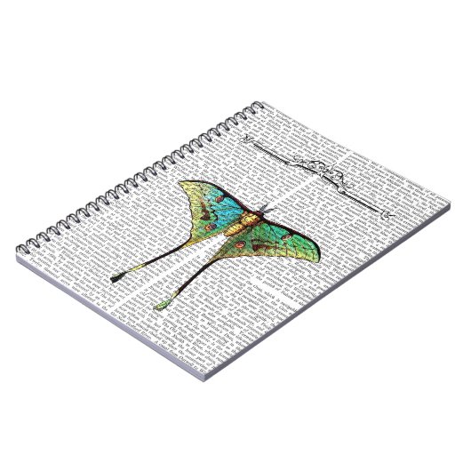 Schmetterling 2 notizblock (Linke Seite)