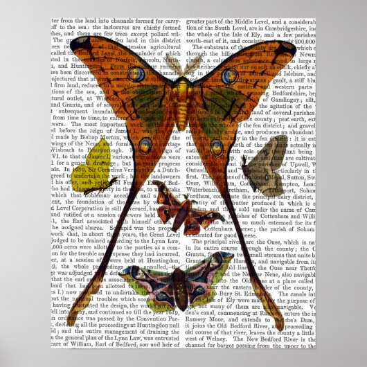 Schmetterling 2 poster (Vorne)
