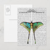 Schmetterling 2 postkarte (Vorne/Hinten)