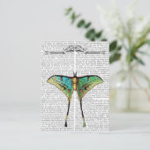 Schmetterling 2 postkarte (Stehend Vorderseite)