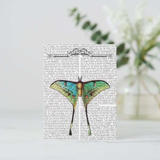 Schmetterling 2 postkarte (Stehend Vorderseite)