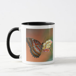 Schmetterling 2 tasse