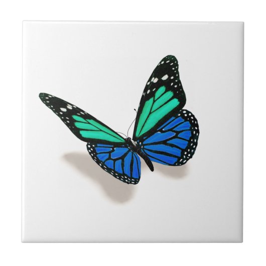 Schmetterling 3D Fliese (Vorderseite)