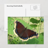 Schmetterling 56 ~ Postkarte (Vorne/Hinten)
