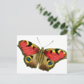 Schmetterling-9-eop Postkarte (Stehend Vorderseite)