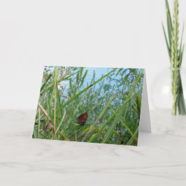 Schmetterling am Fluss Karte