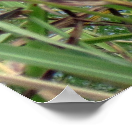 Schmetterling am Fluss Poster (Ecke)