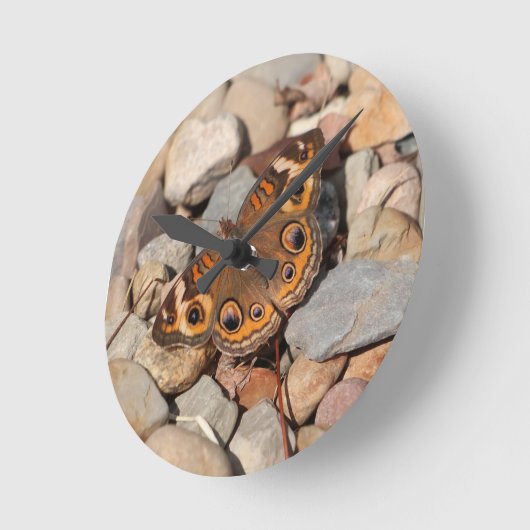 Schmetterling am Fluss Rock Wall Uhr (Winkel)