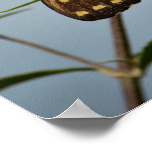 Schmetterling am Himmel Poster (Ecke)