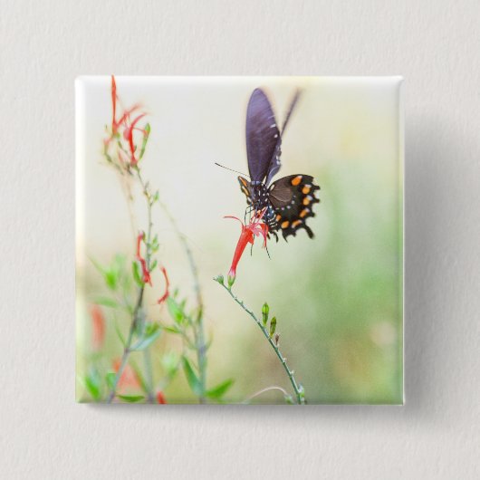 Schmetterling am Nachmittag Button (Vorderseite)