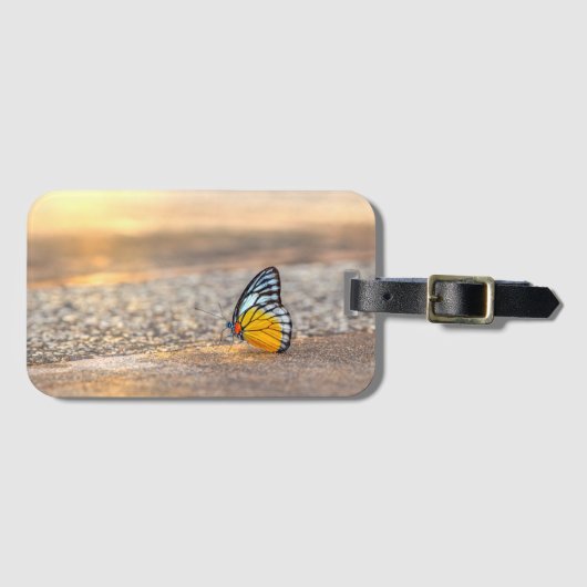 Schmetterling am Strand Gepäckanhänger (Vorderseite (Horizontal))