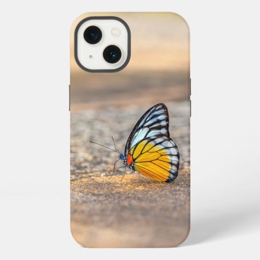 Schmetterling am Strand iPhone Hülle (Rückseite)