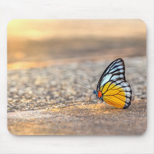 Schmetterling am Strand Mousepad (Vorne)