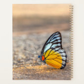 Schmetterling am Strand *Persönlich* Planer (Rückseite)