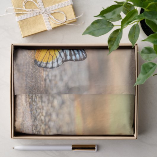 Schmetterling am Strand Seidenpapier (Geschenk)