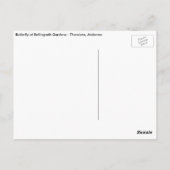 Schmetterling an Bellingrath Gärten Postkarte (Rückseite)