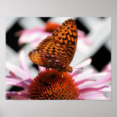 Schmetterling an der Wand 2 Poster (Vorne)