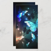 Schmetterling Ankündigung (Vorne/Hinten)