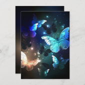 Schmetterling Ankündigung (Vorne/Hinten)