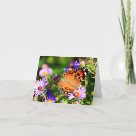 Schmetterling auf Aster-Blume Notizkarte/Grußkarte Karte