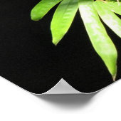 Schmetterling auf Bamboo Poster (Ecke)