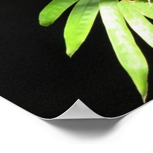 Schmetterling auf Bamboo Poster (Ecke)