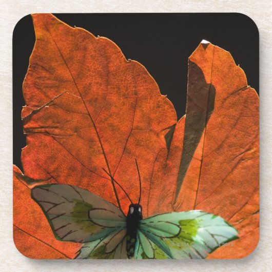 Schmetterling auf Blatt 2 Getränkeuntersetzer (Vorderseite)