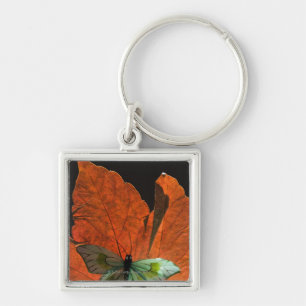 Schmetterling auf Blatt 2 Schlüsselanhänger