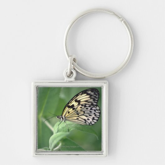 Schmetterling auf Blatt Schlüsselanhänger (Vorne)