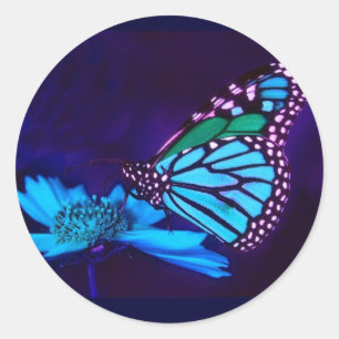 Schmetterling auf blauem Lichtaufkleber Runder Aufkleber