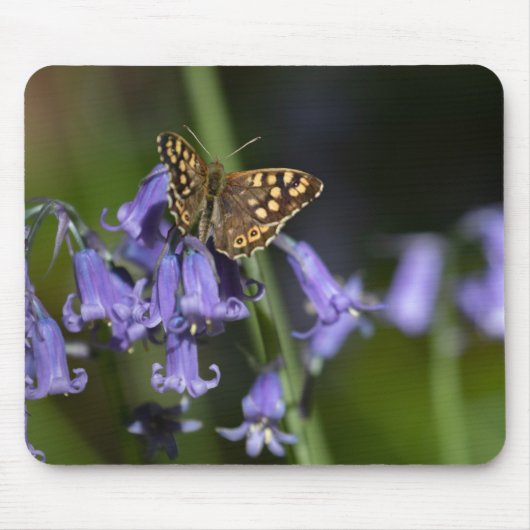 Schmetterling auf Bluebells Mousepad (Vorne)