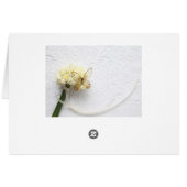 Schmetterling auf Blume (Rückseite Horizontal)